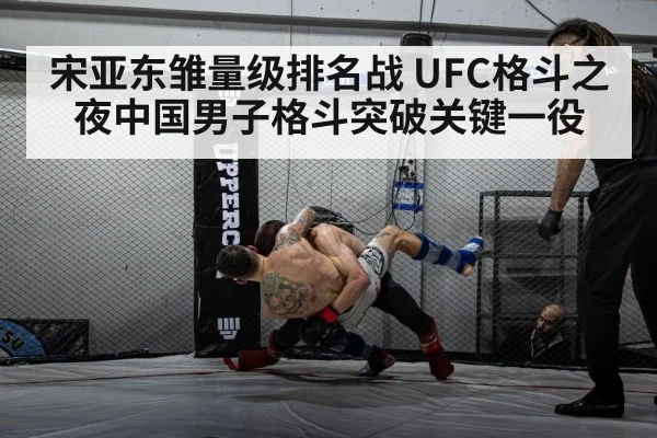 MMA fighter cage