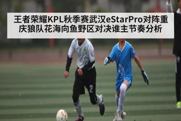 王者荣耀KPL秋季赛武汉eStarPro对阵重庆狼队花海向鱼野区对决谁主节奏分析 - kaiyun