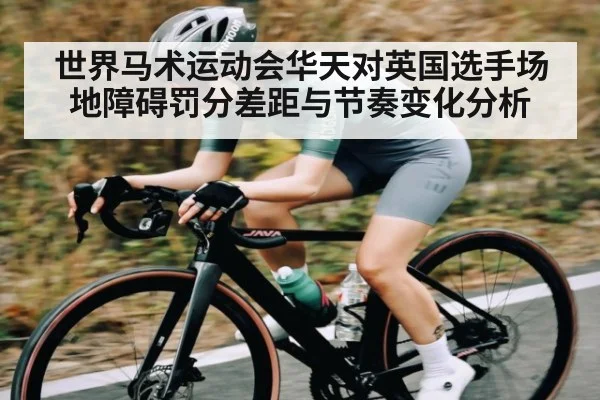 世界马术运动会华天对英国选手场地障碍罚分差距与节奏变化分析 | kaiyun